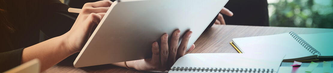 IBCS International Business Communication Standards