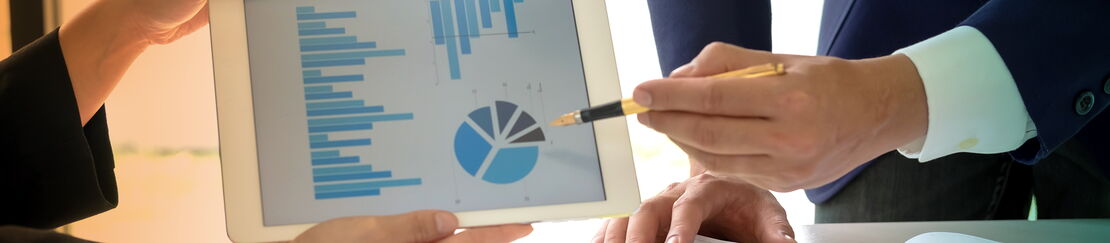 Reporting und Business Intelligence