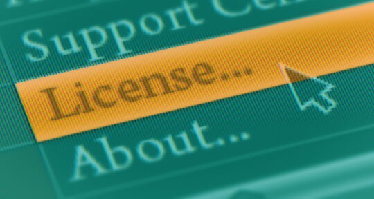 Software license sales
